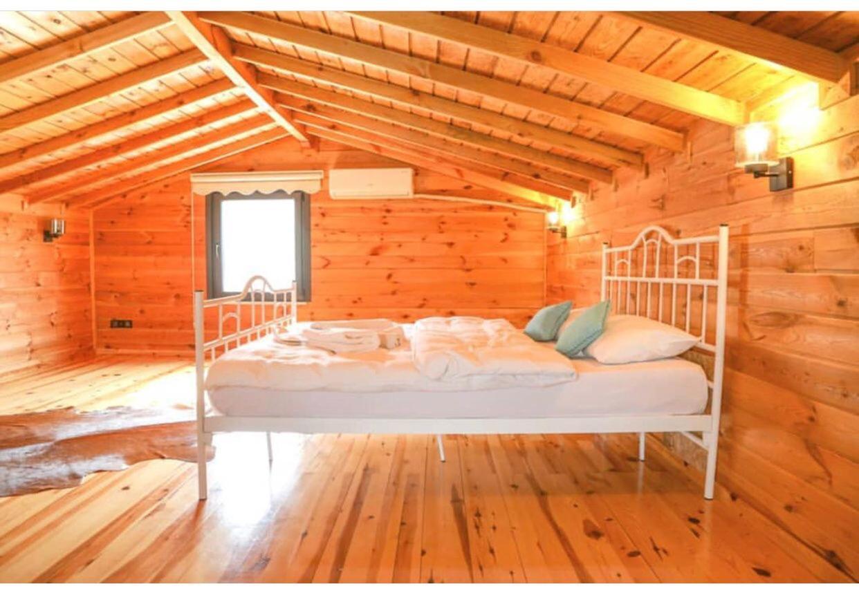 Cinarhan Villas Agva  Room photo